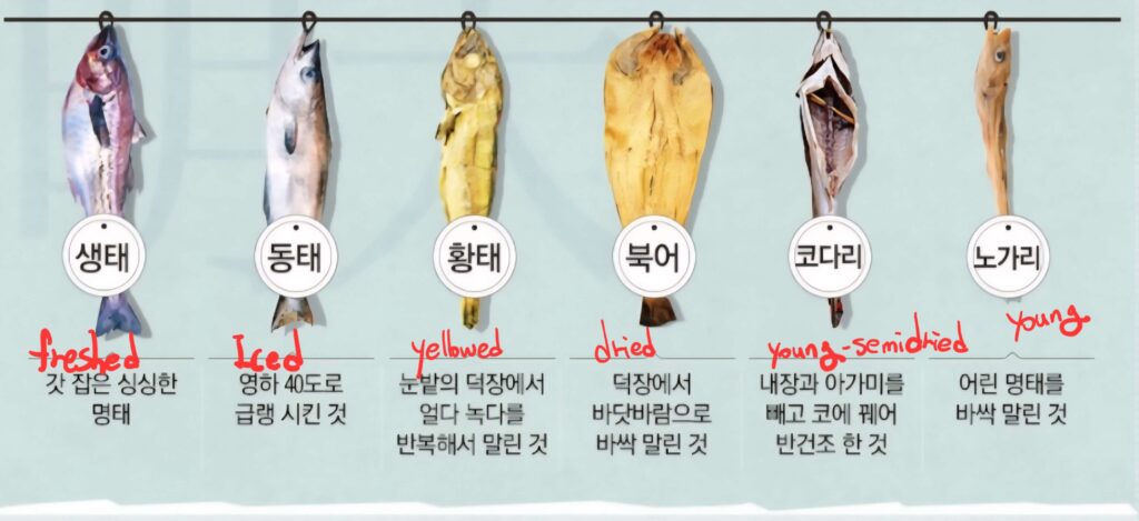 variety of myeongtae